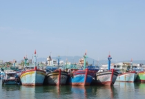 Nguyên Liệu Làm Mắm Tại Bình Định