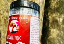 Mắm Mực – Hương Vị Đậm Đà Từ Biển Cả Miền Trung