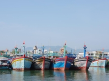 Nguyên Liệu Làm Mắm Tại Bình Định