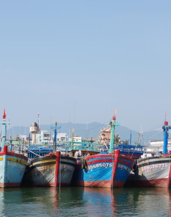 Nguyên Liệu Làm Mắm Tại Bình Định