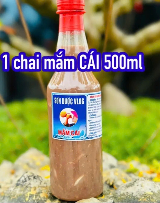 Mắm Cái Đặc Sản Bình Định Sơn Dược Vlogs – Hương Vị Truyền Thống Quê Hương
